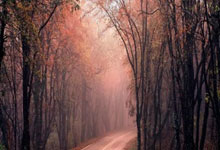 六台记者：皇马希望将姆巴佩培养成定位球专家.