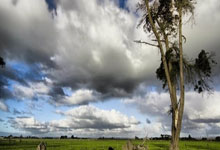 [NBA]常规赛2月26日：独行侠VS.