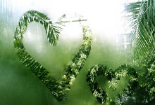 德媒预测拜仁客战奥格斯堡首发：帕利尼亚、金玟哉在列.