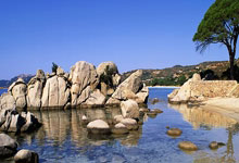 2025环浙骑游嵊州站落幕.